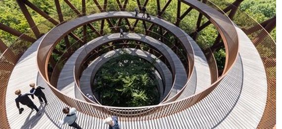 El papel crucial de las Soluciones basadas en la Naturaleza en la construcción de la resiliencia climática en Europa